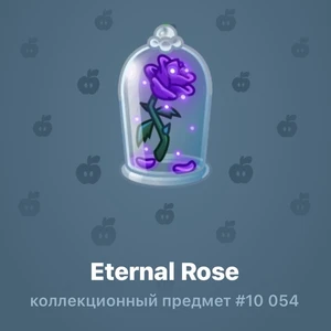 Eternal Rose #10 054