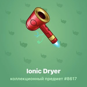 lonic Dryer #8617
